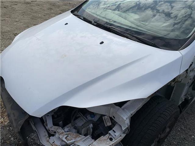 FORD 1852919 Capó  comprar en Murcia