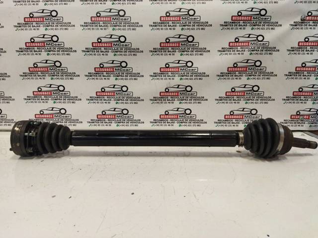 191407285E VAG Fuelle de palier delantero exterior  en stock Gandía