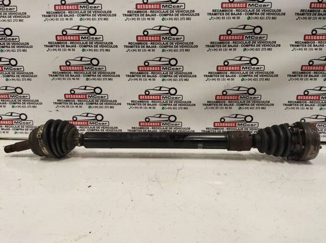 Fuelle transmisión delantero exterior 191407285E VAG