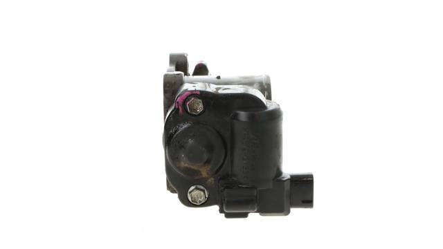 1923002010 Cuerpo de mariposa comprar Girona