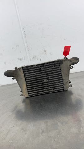 Radiador de aire de admisión 19879005 NISSAN
