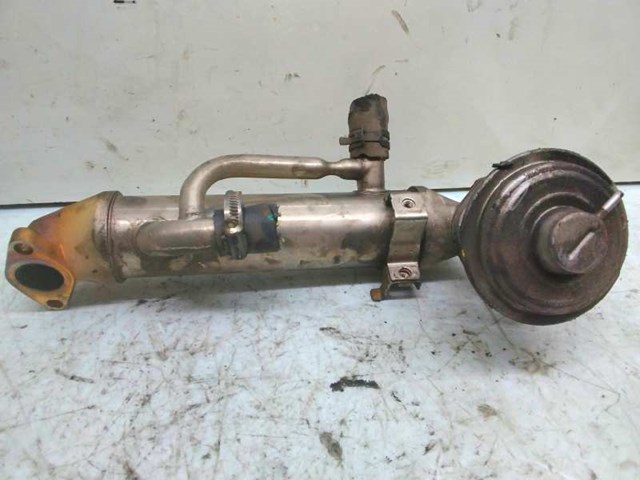 1C1Q9F464AD FORD Enfriador de recirculación de gases de escape EGR comprar Bilbao