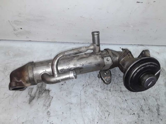 1C1Q9F464AD FORD Enfriador de recirculación de gases de escape EGR  comprar en Lleida