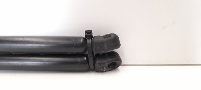1H6827550A VAG Amortiguador maletero  en stock Gandía