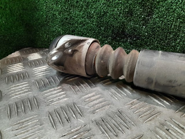 1J0513025 VAG Amortiguador trasero  comprar en Oviedo