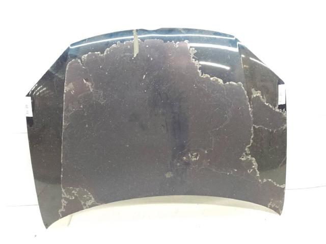 Capó del motor Volkswagen Golf 5 1K1