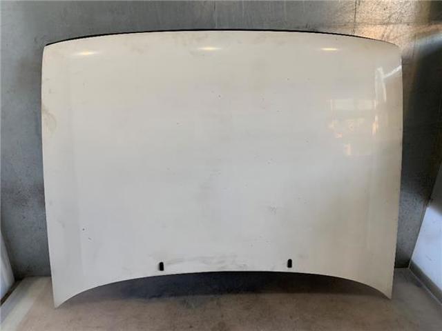 Capó del motor Seat Toledo I desde 191,66 €