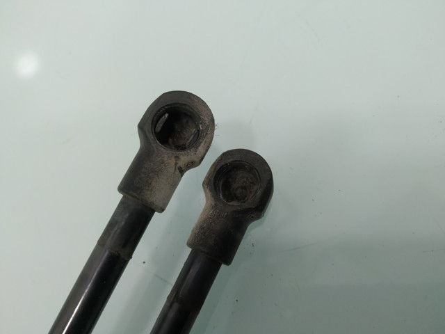 Amortiguador de maletero Seat Leon 1 1M1