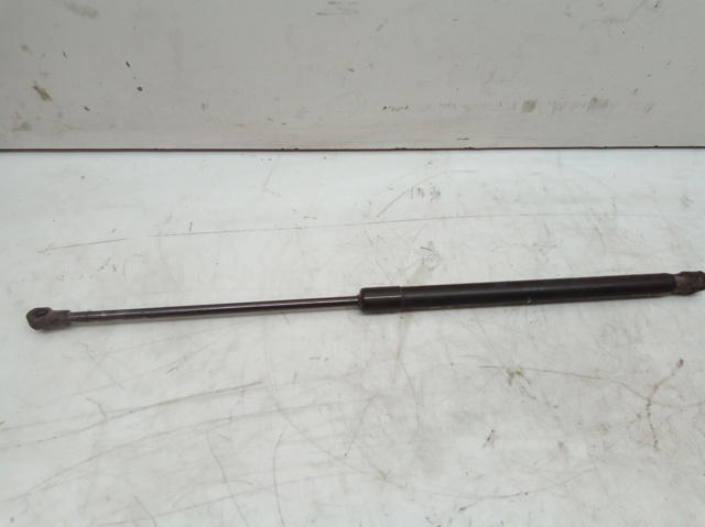 Amortiguador de maletero Seat Leon 2 1P1