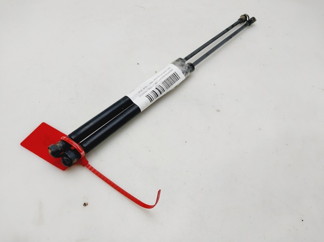 VAG 1P0827550A Amortiguador de la tapa del maletero  comprar en Ponferrada