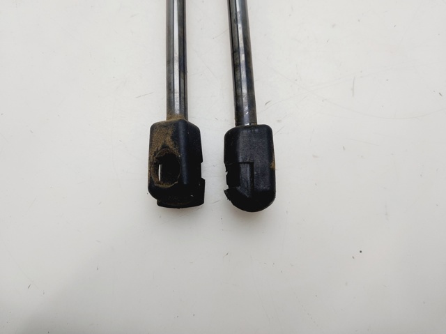 VAG 1P0827550A Amortiguador de la tapa del maletero  disponible Valladolid
