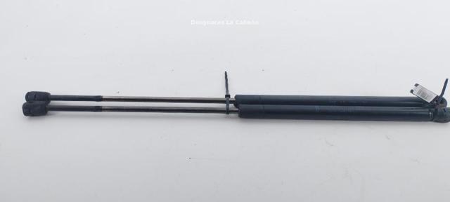 Amortiguador de puerta trasera 1S71A406A10BC FORD