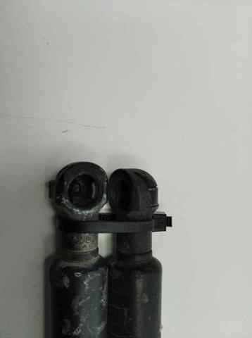 FORD 1S71F406A10AB Amortiguador de la tapa del maletero  comprar en Ponferrada