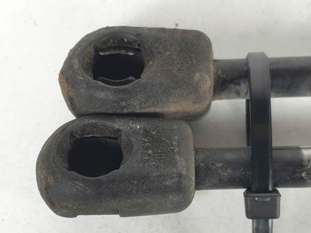 1S71N406A10AC FORD Amortiguador de la tapa del maletero  comprar en Oviedo