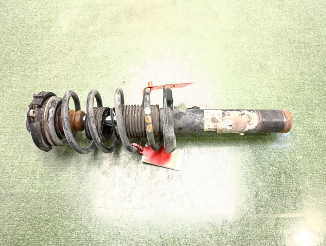 1T0413031BR VAG Amortiguador delantero  comprar en Oviedo