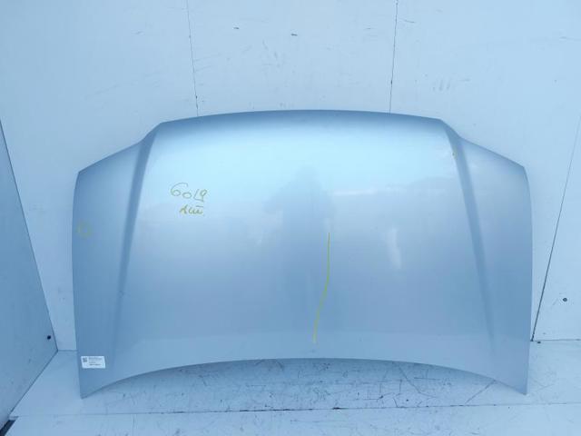 VAG 1T0823031D Capó comprar Pamplona