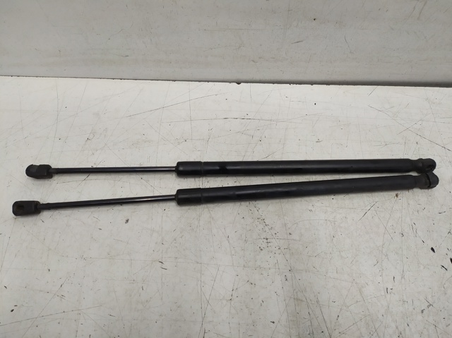 VAG 1T0827550C Amortiguador de la tapa del maletero  comprar en Ponferrada