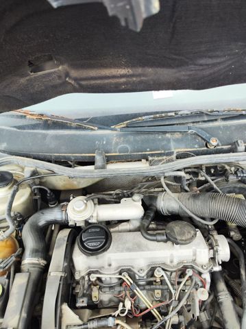 1U1955409 VAG