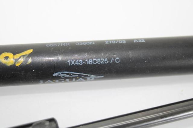 Muelle neumático, capó de motor Jaguar X-type CF1