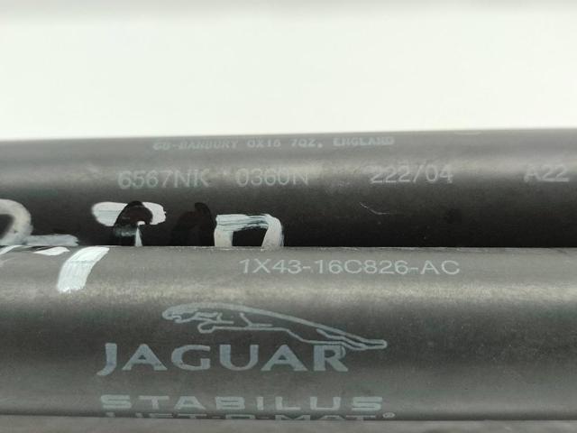 Muelle neumático, capó de motor Jaguar X-type CF1