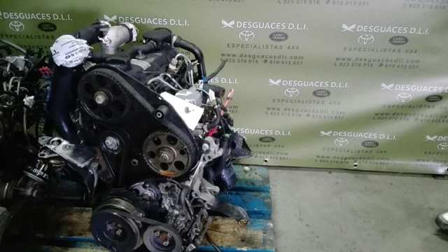 1Z VAG