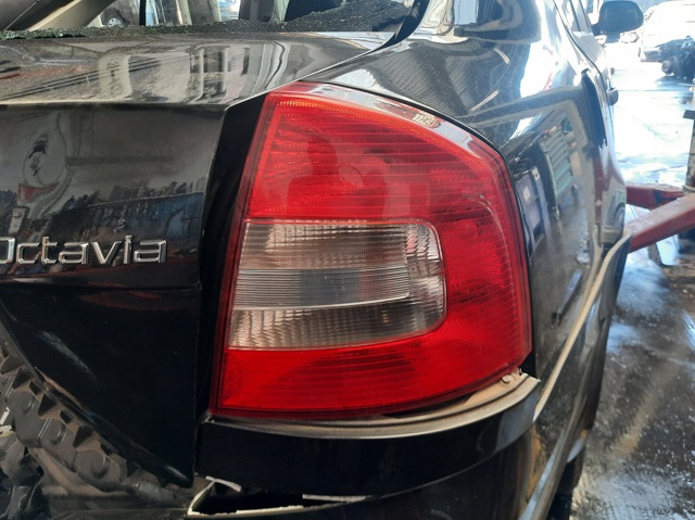 1Z5945096B VAG