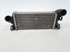 Radiador de aire, intercooler 2026747 FORD