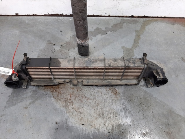 2035000600 Intercooler  disponible Burgos