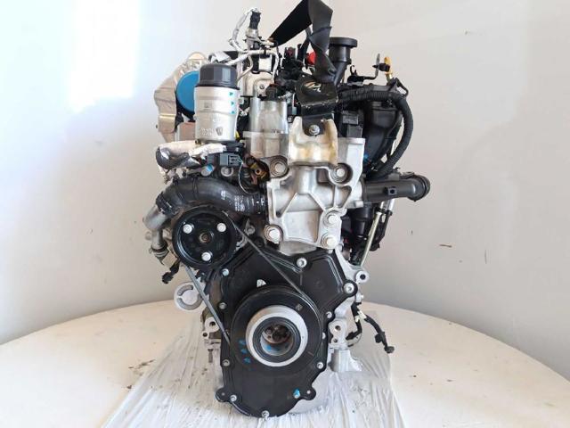 204DTY Jaguar