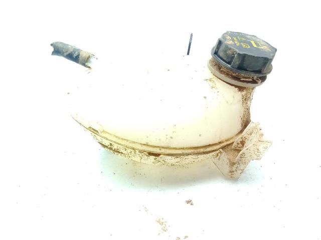 2066919 FORD Vaso de expansión comprar Alcalá