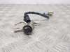 Inyector Adblue 208995377R RENAULT