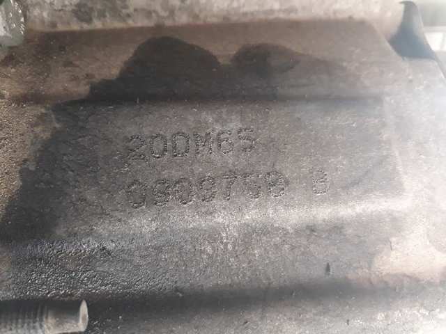 20DM65 Peugeot/Citroen