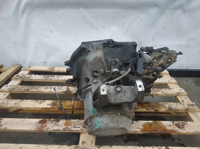 20DM65 Peugeot/Citroen
