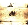 Motor completo 20T2N ROVER