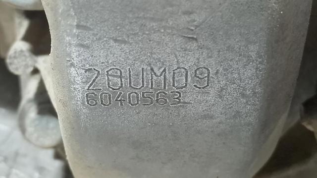 20UM09 Peugeot/Citroen