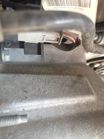 20V257 Peugeot/Citroen