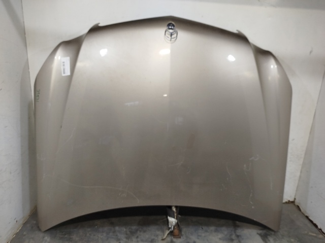 Capot Mercedes E  (W212)