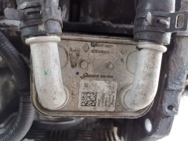 213052032R NISSAN Radiador de aceite  comprar en Lleida