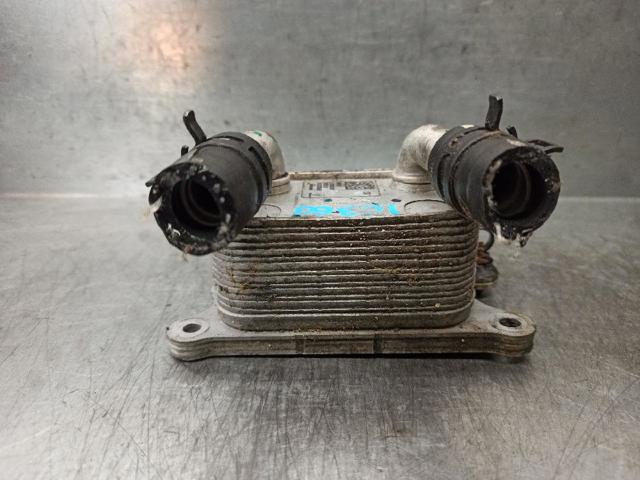 213052032R Renault (RVI)