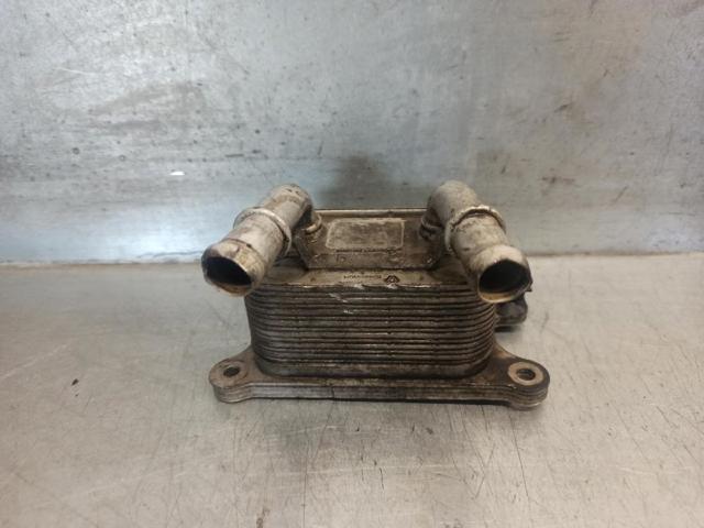213052032R Renault (RVI)