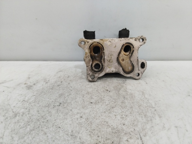 213052032R RENAULT Radiador de aceite comprar Bilbao