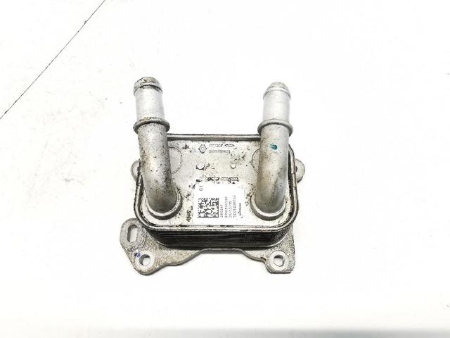 RENAULT 213052032R Radiador de aceite comprar Barcelona