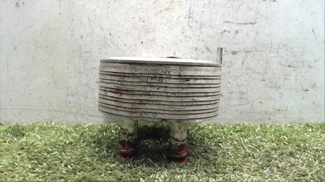213055M301 NISSAN Radiador de aceite debajo del filtro  en stock Gandía
