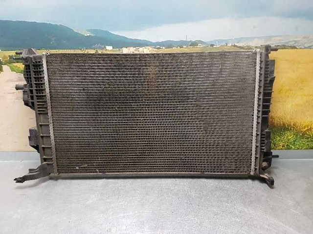 RENAULT 214100002R Radiador de refrigeración del motor  disponible España