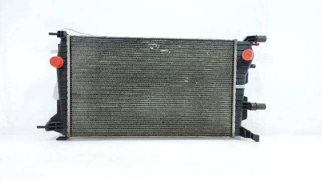 Água radiador 214100068R RENAULT