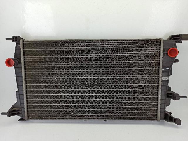 Radiador del motor 214100068R RENAULT