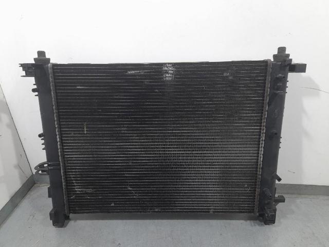 214100078R RENAULT Radiador  en stock Córdoba
