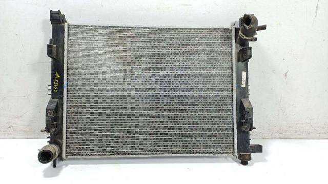 RENAULT 214101612R Radiador  en stock Terrassa