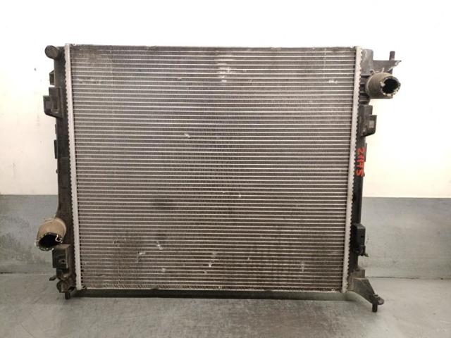 214101809R Nissan/Infiniti