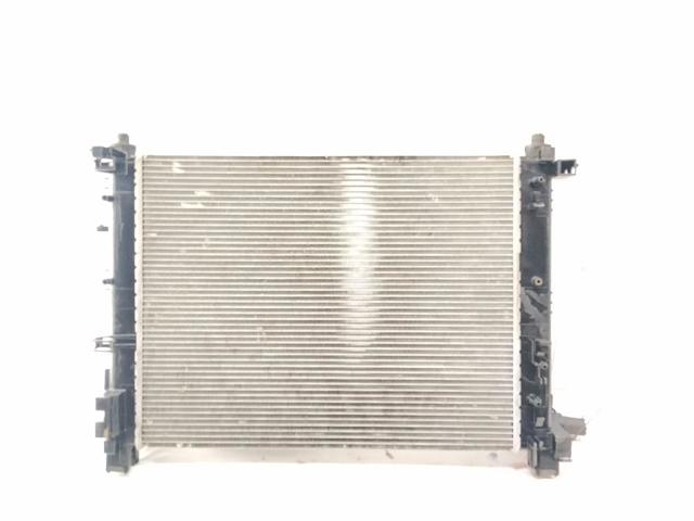 214104225R RENAULT Radiador  en stock Córdoba